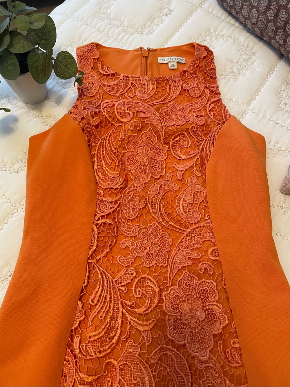 Eva Mendes for New York & Company Orange Lace-Panel Sheath Dress - Picture 3 of 5